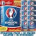 Panini UEFA Euro 2016 France sticker collection starter pack (incl Album + 81 stickers)