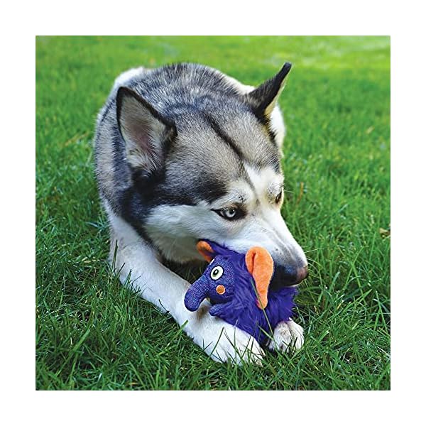 Kong Company 38749816: Zigwigz Warthog Dog Toy, Md Kong Company 38749816: Zigwigz Warthog Dog Toy, Md