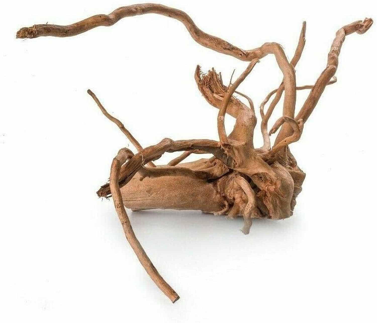 Bois d'aquarium – Bois flotté Pulido – Pièces polies de qualité supérieure – Décoration aquatique en bois de tourbier rouge (20-30 cm)