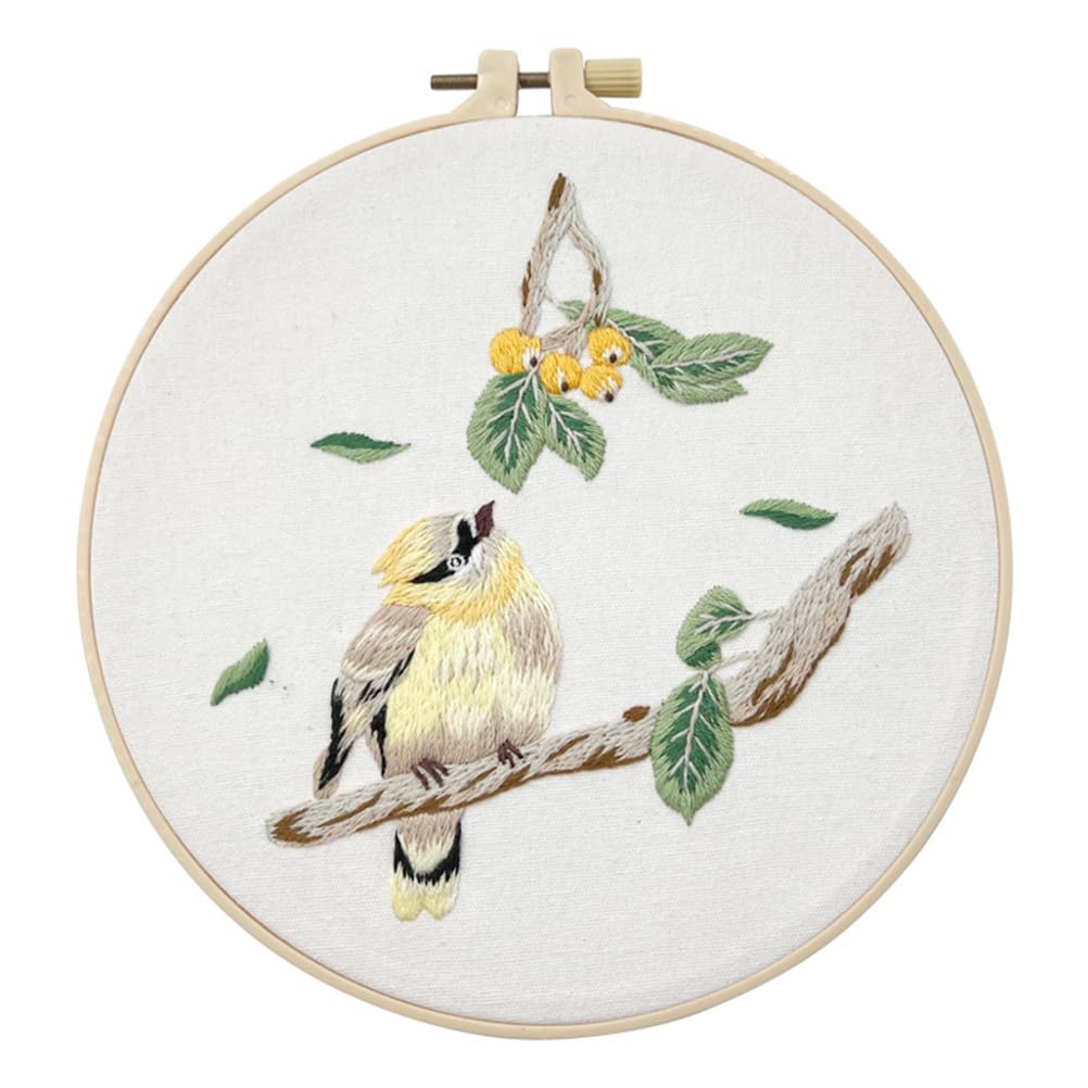 Meecaa Fruit Bird Embroidery Kit Starter Set, Hand Embroidery Set,Pattern Printed Cross Stitch Set for Beginner Adults, with Embroidery Hoop and Instructions (Fruit Bird)