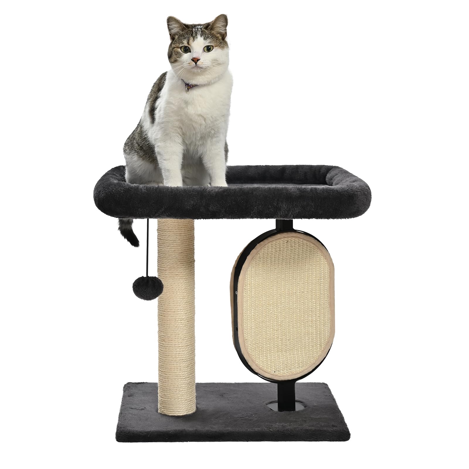 Amazon Basics Single-Platform Cat Tree with Scratching Post and Pad for Indoor Cats, 15.7 x 11.8 x 18.5'', Gray