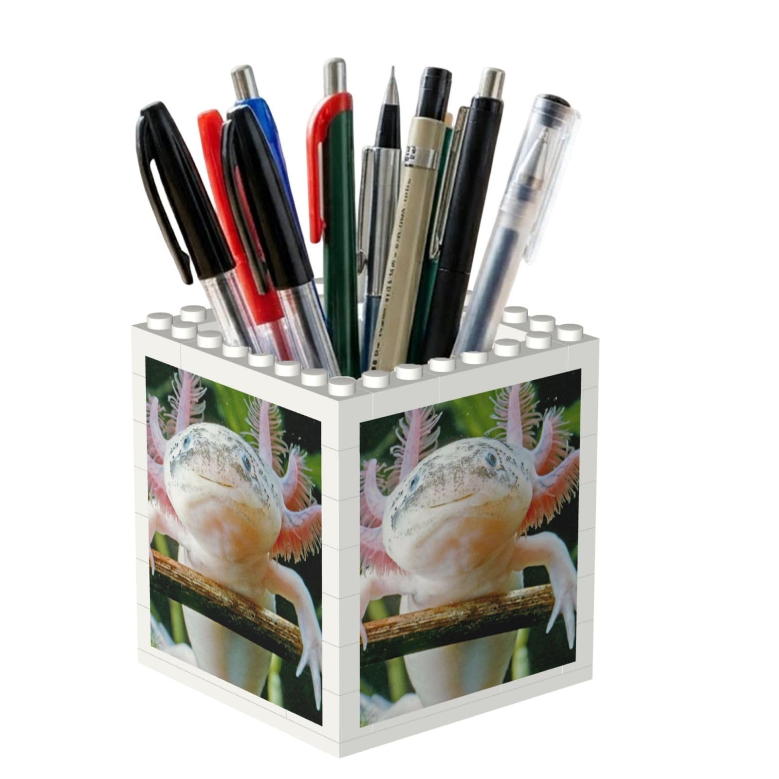 Poadnly Axolotl, Pen Pot Pencil Holder for Office Home School, Compact Desk Organiser for Office Stationery