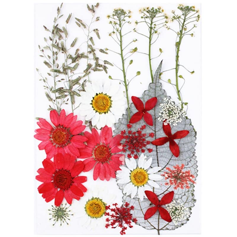 1 bolsa de adhesivos de flores secas prensadas miniatura 1