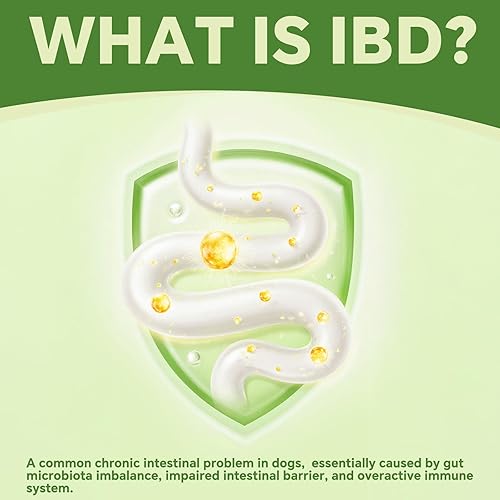 Miniatura 5 de Probióticos para perros  Salud intestinal  Apoyo digestivo para perros  Alivio del estreñimiento del perro  Medicina para el malestar estomacal del