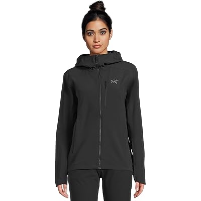 Arcteryx Gamma MX Hoodie black