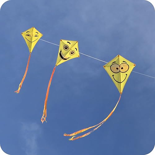 Cute&Cuite Diamond Kite-Outshine Oasis, 33 x 28.3 pulgadas, cometas fáciles de volar para niños, adultos, niñas, niños. Cometa para la playa sin