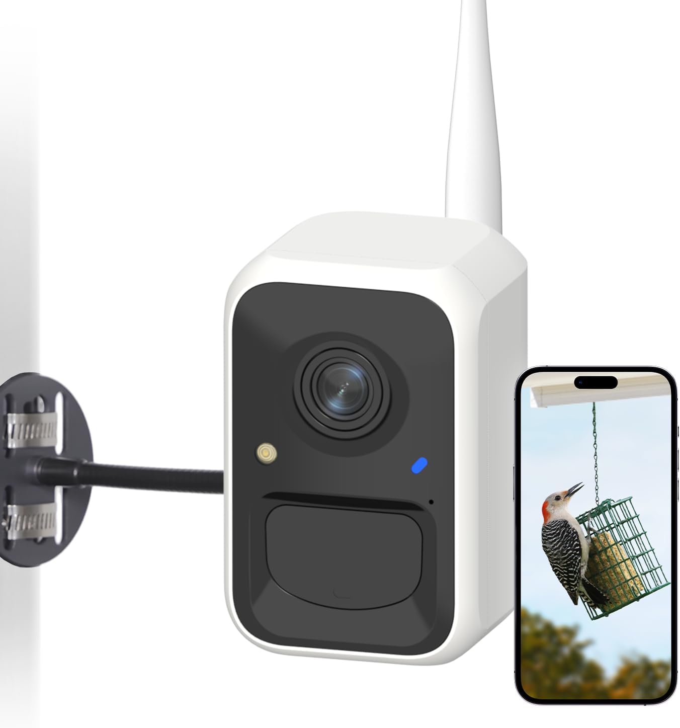 Birdfy Smart Bird Watching Camera, Wireless Bird Camera with Adjustable Brackets, Auto Capture Video & Motion Detection & Arrival Alerts, 1080P Color Night Vision, Ideal Present for Backyard Birder