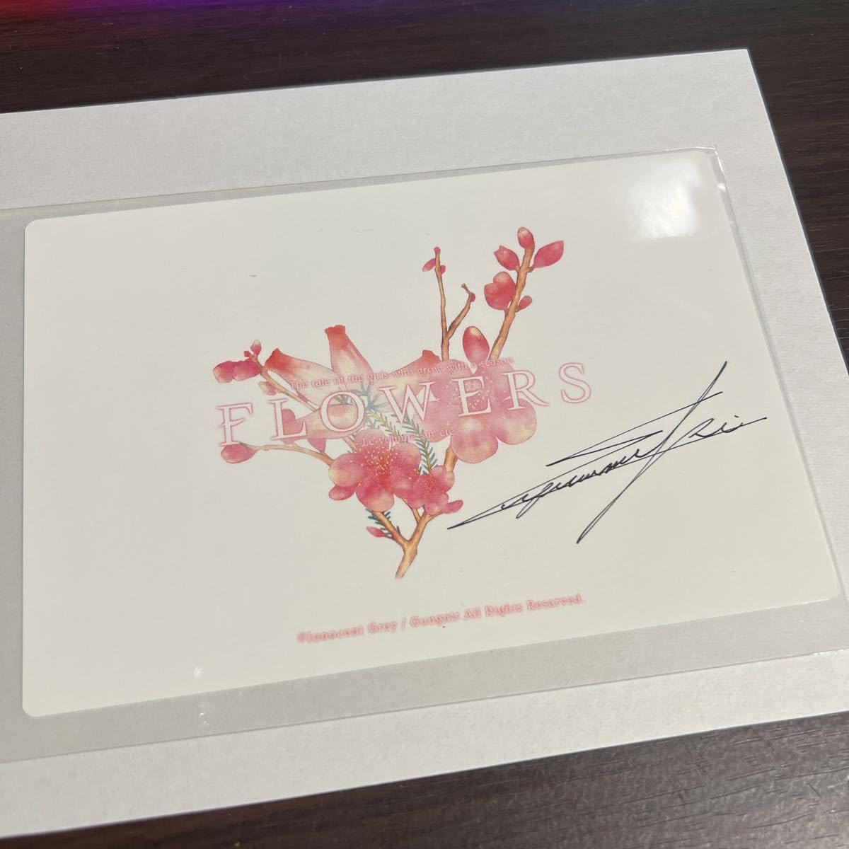 innocent grey flowers サイン入りポスター 鈴湯 スギナミキ