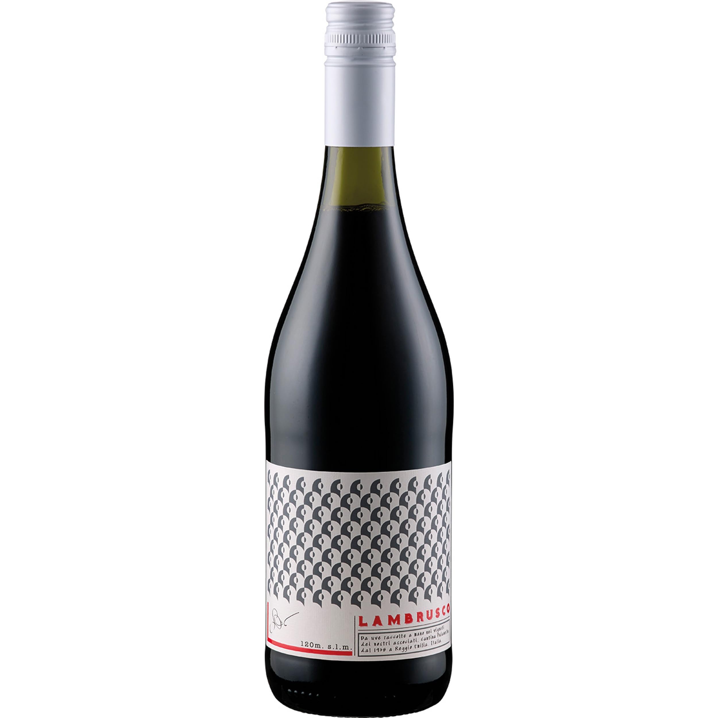 Cantina Puianello Lambrusco Primabolla Amabile DOC Schaumwein lieblich Italien inkl. FeinWert E-Book (1 x 0.75 l)
