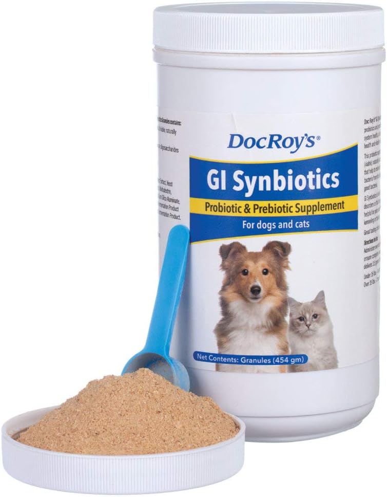 Revival Animal Well being Doc Roy’s GI Synbiotics- Probiotic & Prebiotic Complement – for Canines and Cats- 454 gm Granules