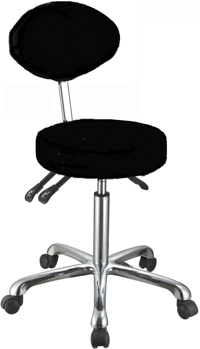 Rolling Stool with Back Support for Office or Home- Silver Fox 1025C (Black)