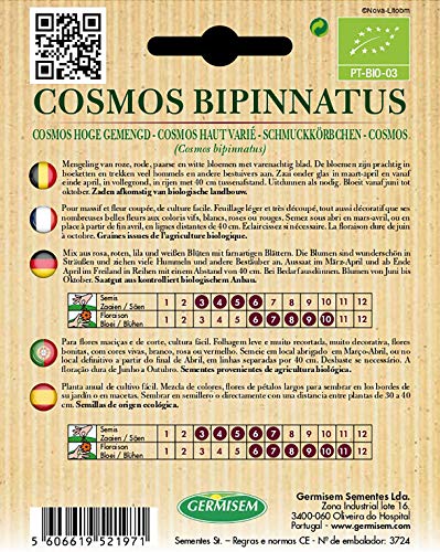 Germisem ECBIO1515 Organisch Cosmos Bipinnatus Cosmos Zaden 2 g - Afbeelding 3