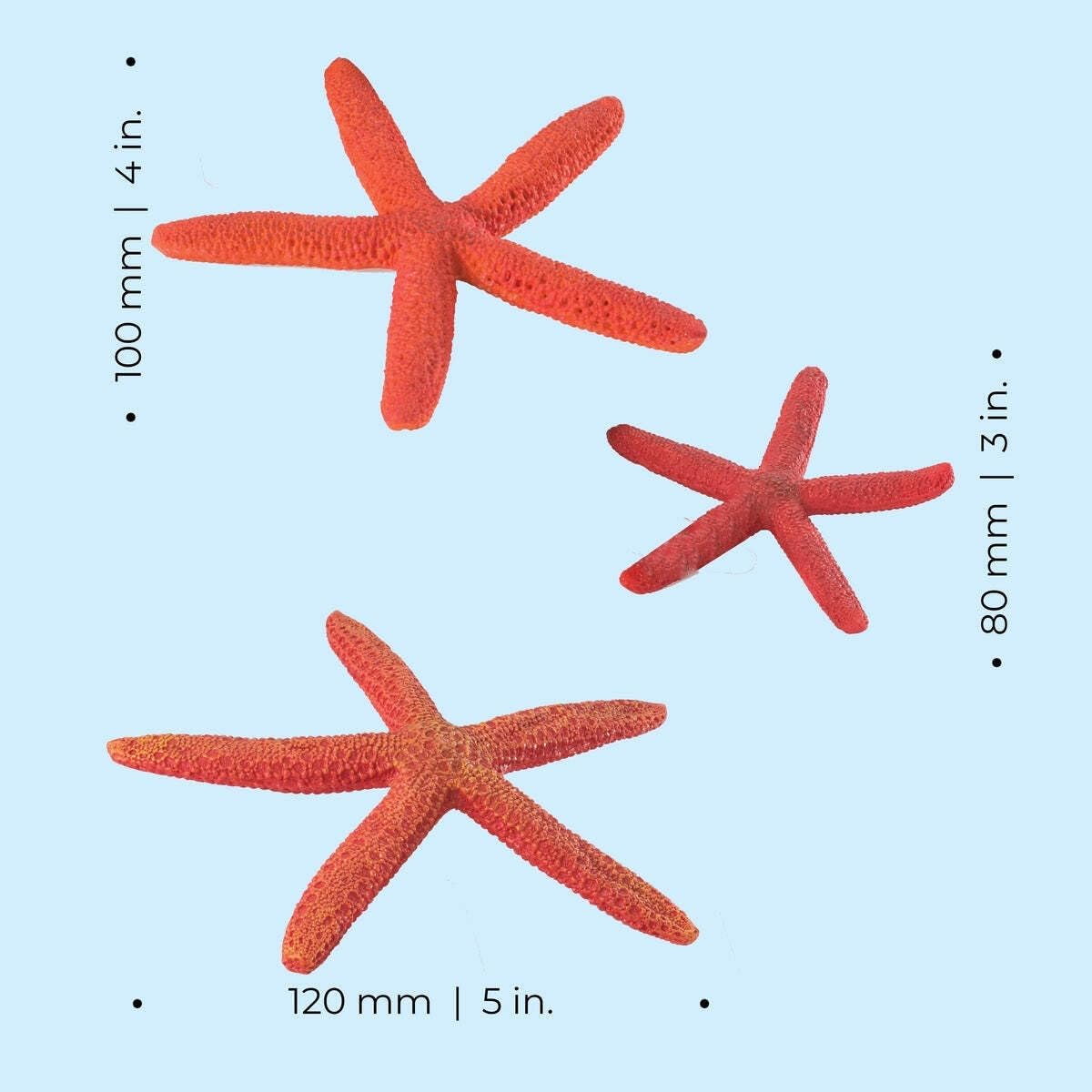 biOrb Fish Tank Decorations, Ceramic Starfish Aquarium Ornament (Red Colour), Beautifully Detailed Artificial Fish Tank Accessories to Add Colour, Natural-Looking Aquarium Decor for Scenic Background