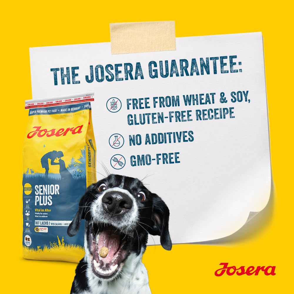 Josera Senior Salmon & Rice 12,5 kg Trockenfutter für Hunde