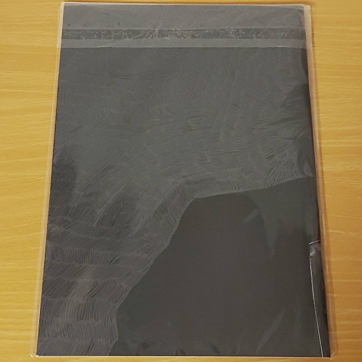 Amazon.co.jp: INORAN TOUR 2016-Thank you‐ 写真集 パンフレット LUNA