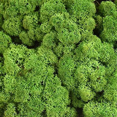 Hidyliu 1 doos landschapsarchitectuur groene planten, simulatie gras bryofyte, tuin synthetische gras, nep mos decor… - Afbeelding 3