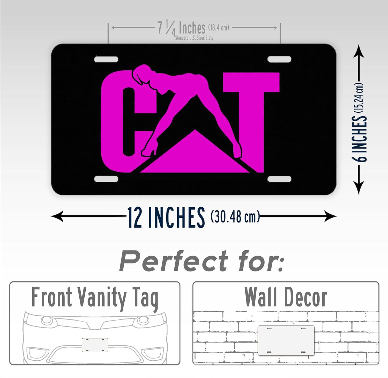 cat Front Plate Cover Decor Accessory Aluminum Metal Rust-Proof Plate Novelty Vanity Tag Cover with 4 Holes for Men Women 6 * 12 in (YMXCP11150026)