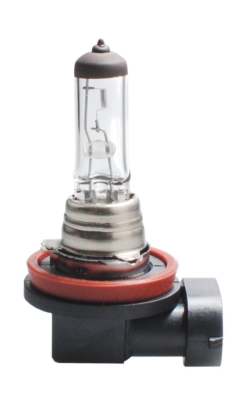 M-Tech Z8 Halogen Lamp PGJ19 – 2 12 V/55 W H11