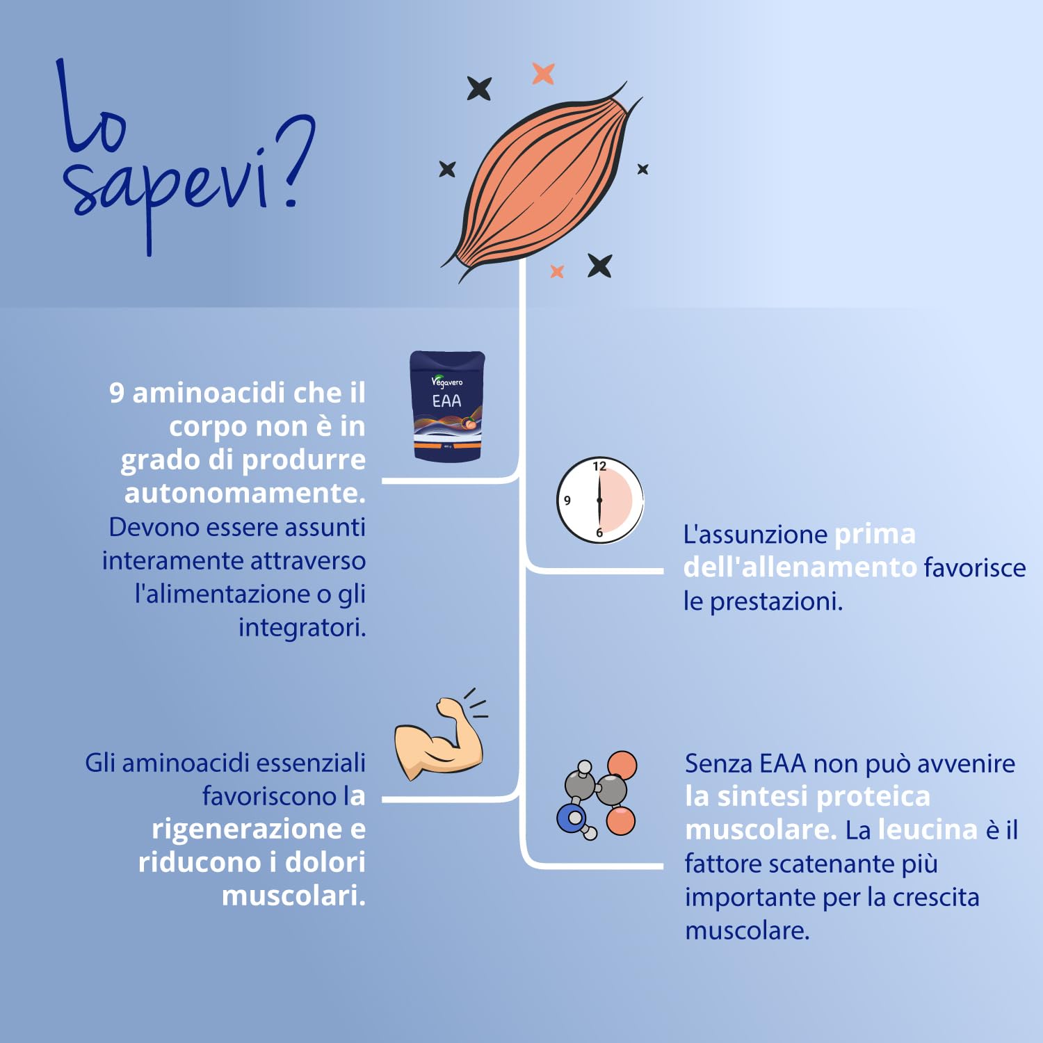 EAA Aminoacidi Essenziali in Polvere | 400 g | 9 EAA e BCAA 2:1:1 | Vegano e Senza Zuccheri | Intra Pre Post Workout | Gusto Pesca | Vegavero®