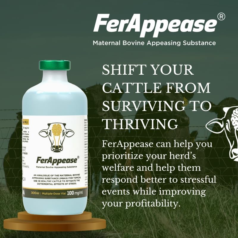 FerAppease® Cattle Stress Relief & Livestock Ear Tag Kit – 300ml Topical Calming Solution + 25 Pack Yellow Large Z-Type Ear Tags – Stress Reduction & Durable Livestock ID Combo for Cattle