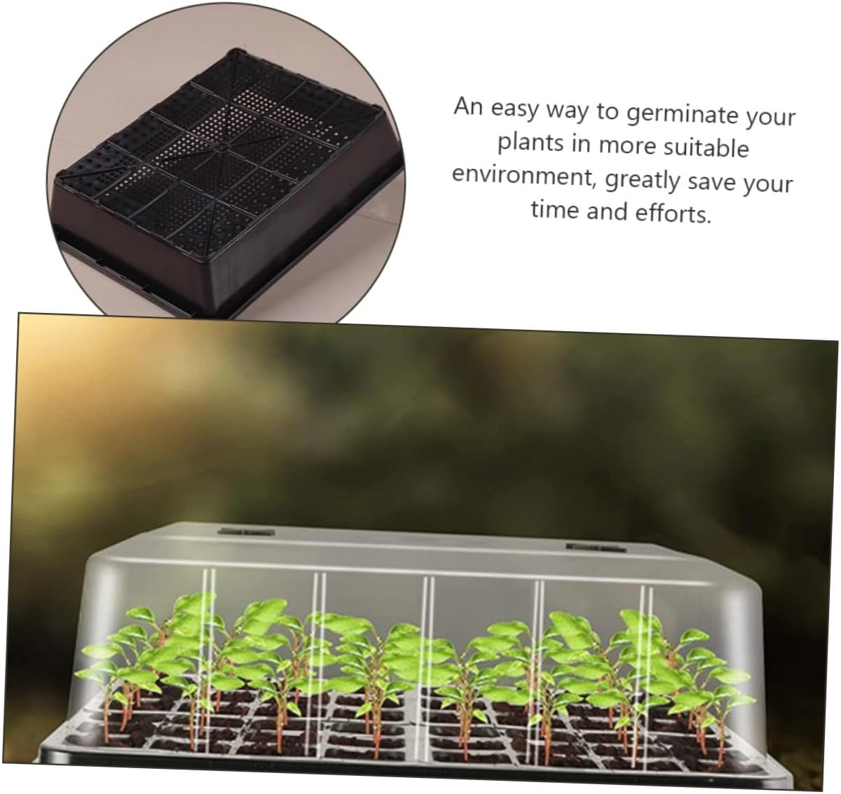 Seed Starter Tray with High Dome Cover and Base Nursery Supply Germination Tray for Succulent and Carnivorous Plants Suitable for Indoor Plant Propagation