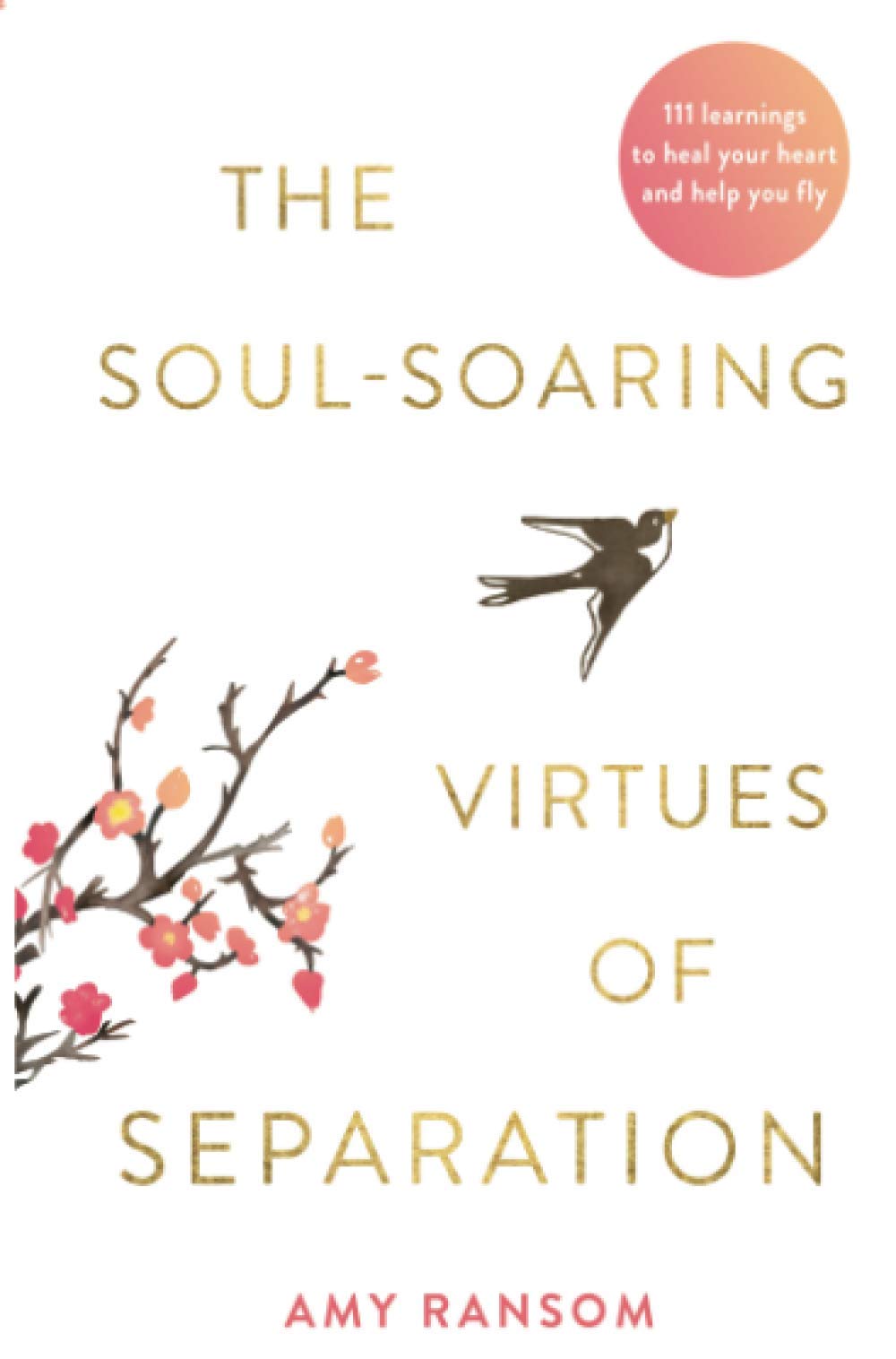 The Soul-Soaring Virtues of Separation by Amy Ransom (Paperback Book)