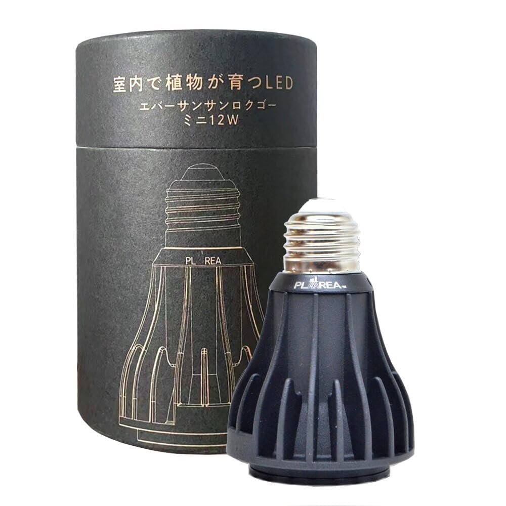 Amazon.co.jp: Ever Sun 365（エバーサン サンロクゴ―） ミニ ブラック