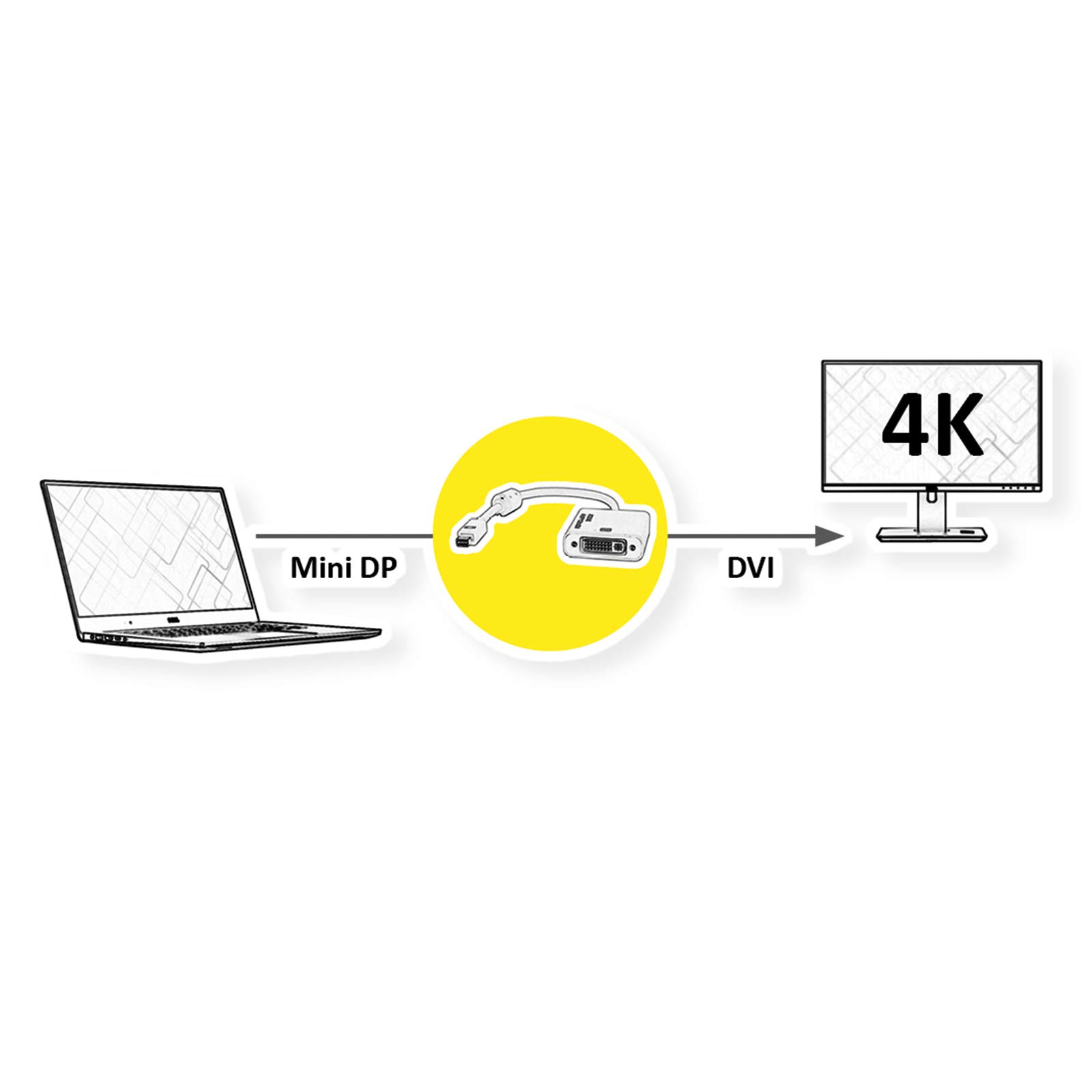 Roline 4K Mini Adaptador DisplayPort-DVI, Mini DP ST - DVI BU