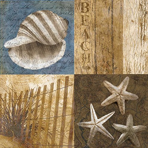 Impresión artística sobre papel mate, 220 g, Seaside Memories II Mallett Keith, imagen cuadrada de baño, beige, marrón, azul, blanco, conchas marinas, guión de bellas artes 36 x 36 pulgadas