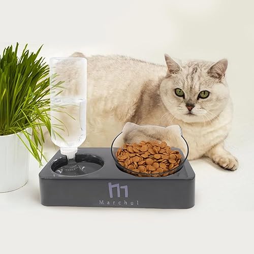 Miniatura 18 de Marchul Cuenco doble elevado para perros y gatos, juego de cuencos de agua y comida para mascotas, platos inclinados elevados en 15° para interiores
