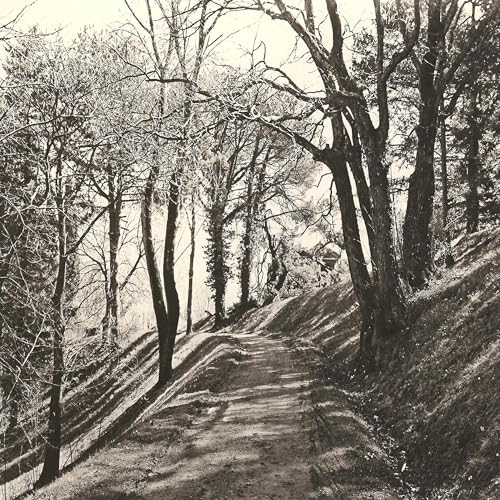 Spiritual Needs and Philosophical Caregiving: An Introduction to the Engaged Philosophy of Dame Cicely Saunders Podcast Por  arte de portada