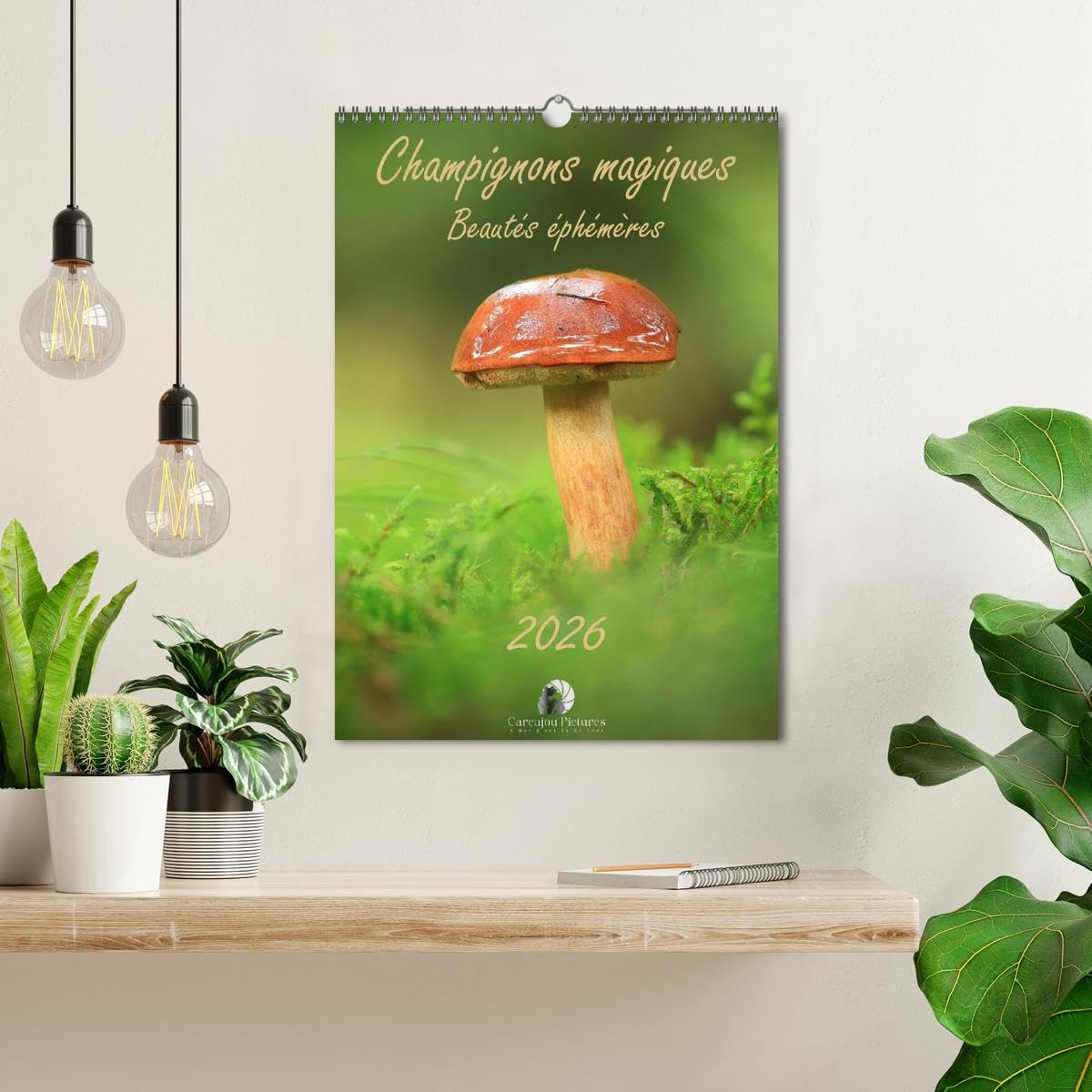 Champignons magiques, Beautés éphémères (Calendrier mural 2026 DIN A3 horizontal) - Image 3