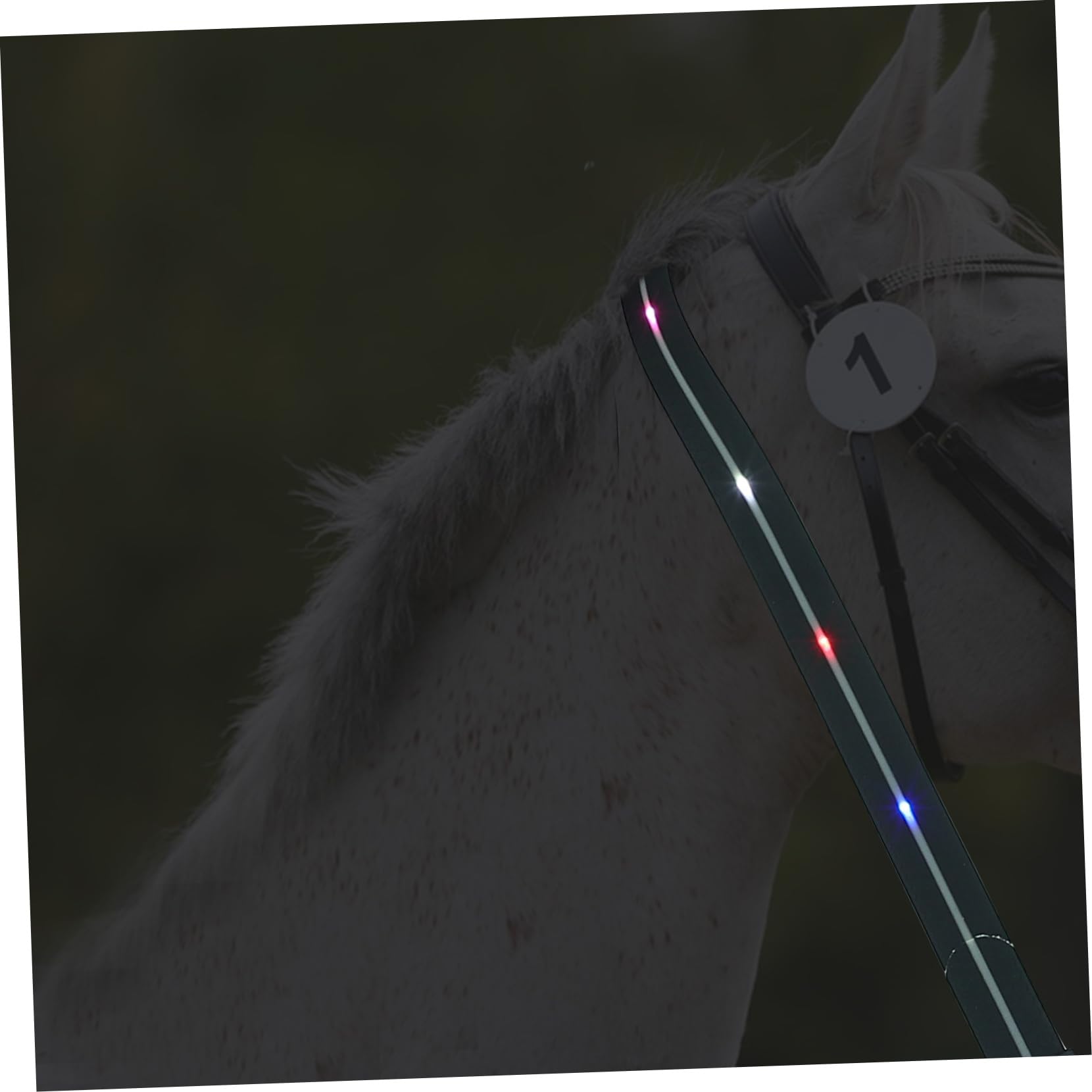 Happyyami Collar Pechera Led Para Caballo Correa Luminosa Cuerda Tracción Accesorio Equitación