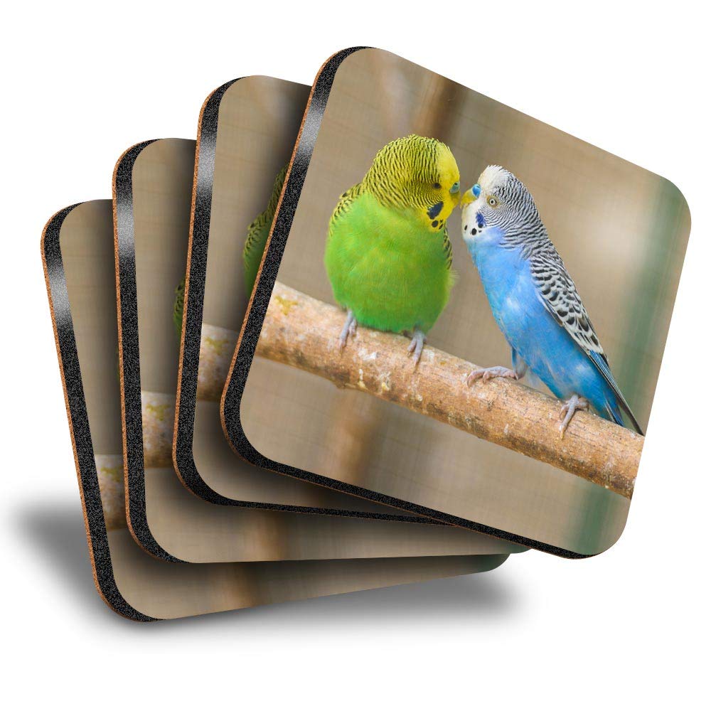 Destination Vinyl Ltd Multicolor Great Coasters (Set Of 4) Square - Kissing Budgie Birds Bird Drink Glossy Coasters/Tabletop Protection For Any Table Type #45477