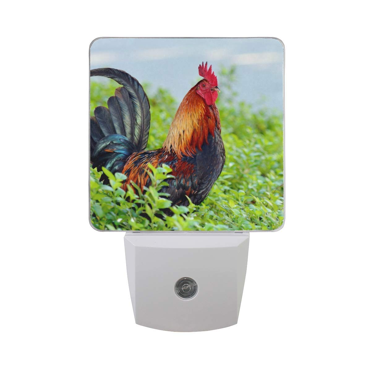 Set of 2 Colorful Rooster Standing in Tall Ground Cover Bush Green Plant Farm Animal Auto Sensor LED Dusk to Dawn Night Light Plug in Indoor for Adults
