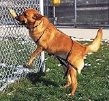 Scott Dog Training Harness, Jump Restriction, Black, 20-80 lbs