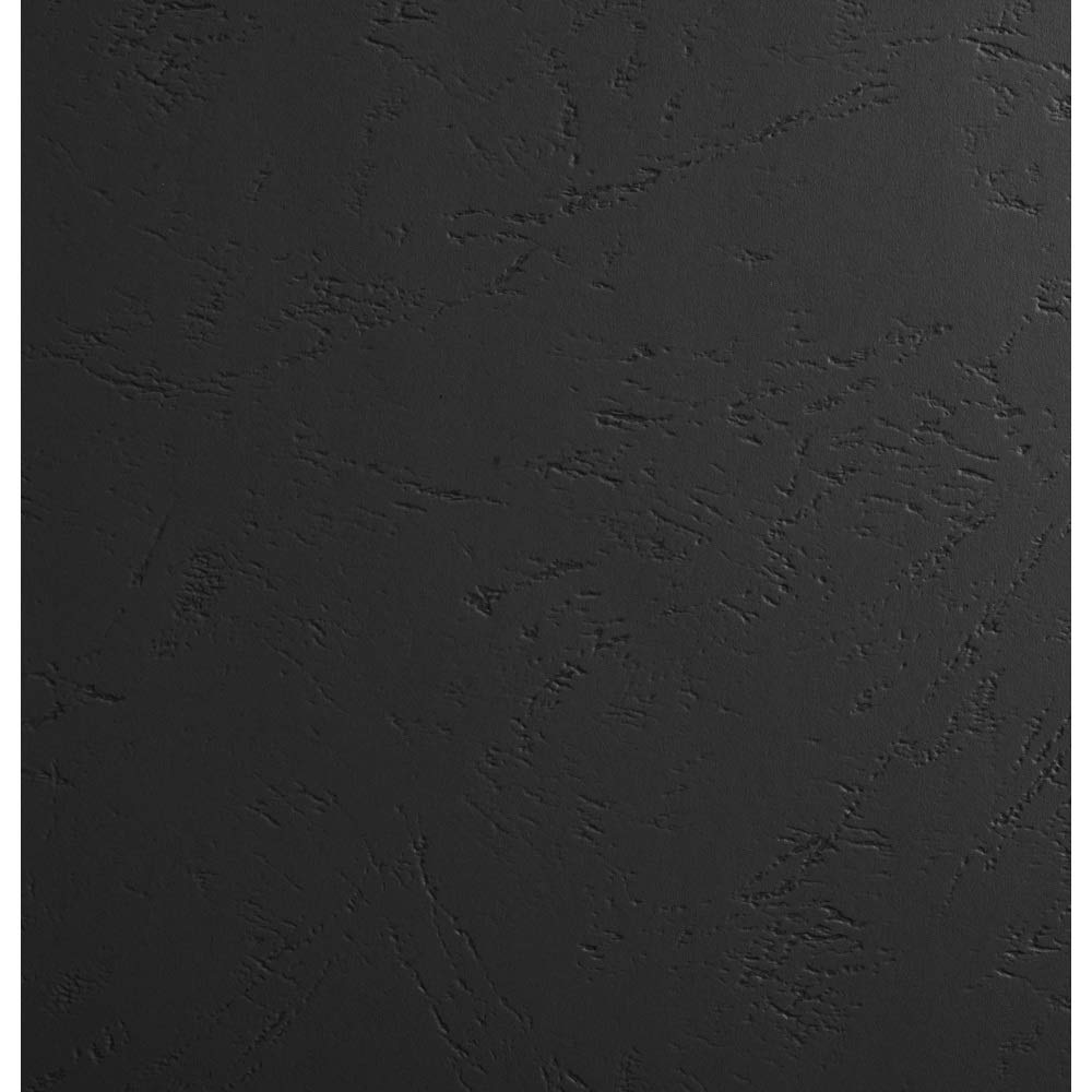 Exacompta Lote de 100 cubiertas/cartulinas de dossiers, Negro, A4