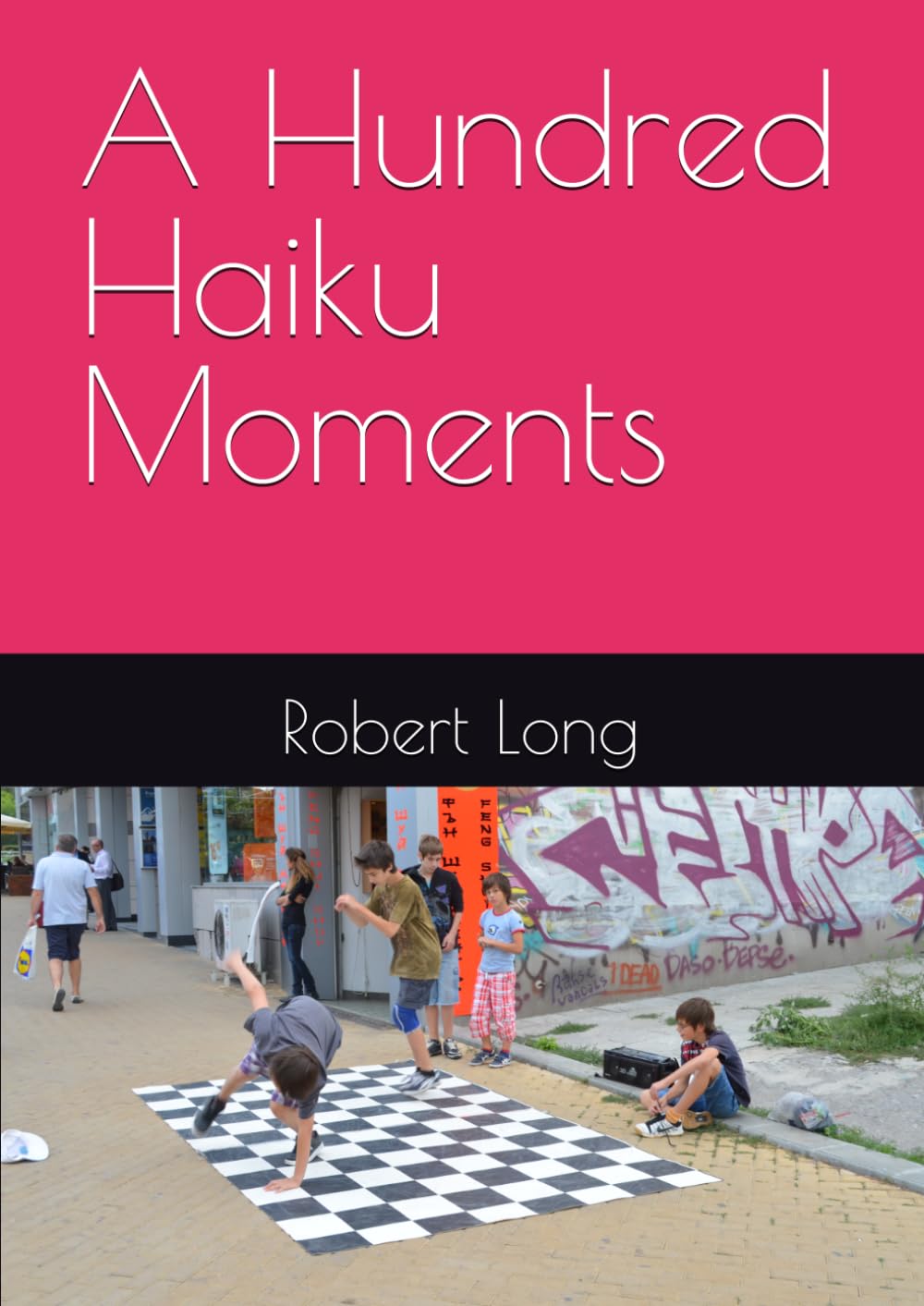 A Hundred Haiku Moments