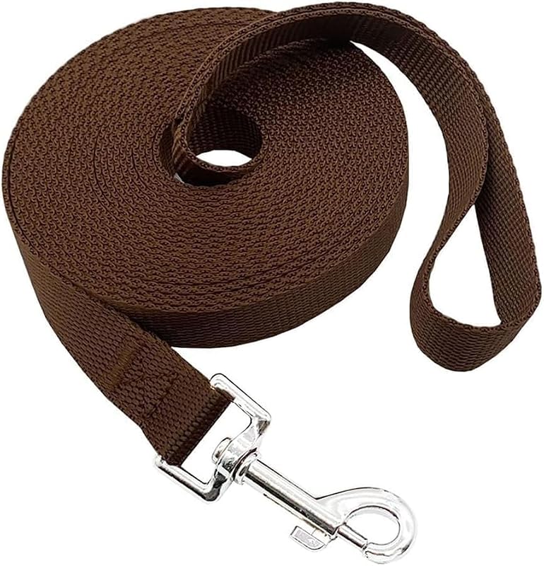 Guia de adestramento para cães em nylon com mosquetão giratório MANDAO, marrom, 2,54 cm x 30,48 m