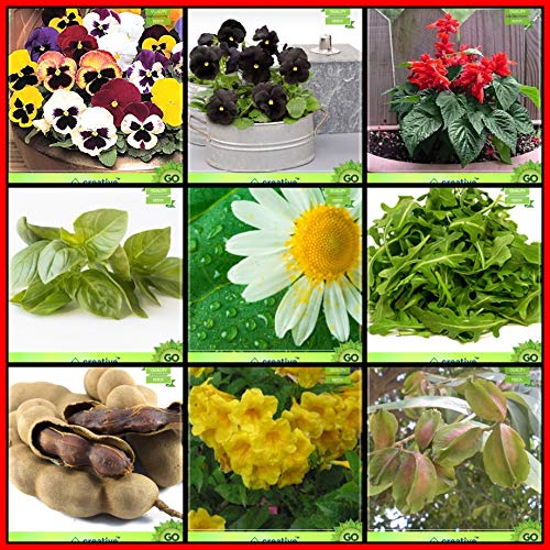 Creative Farmer Combo Plant Seeds Amazon.in Garden & Outdoors