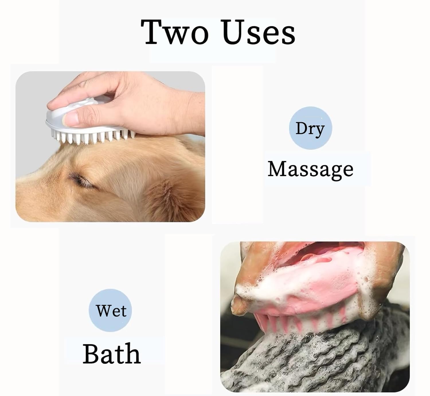 7 Vital Tips for Grooming a Maltese - iHeartDogs.com