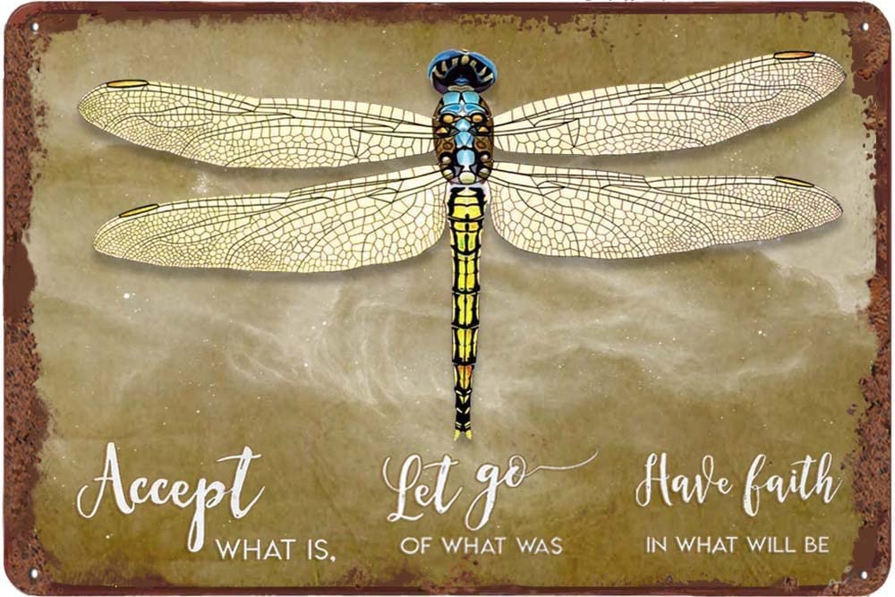 Vintage Metal Sign Accept What is Let Go of What was Have Faith in What Will Be - Dandelion and Dragonfly Tin Signs for Kitchen Home Office Bar Cafe Decor 8x12 Inch