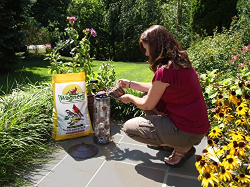 Wagner's 76029 Black Oil Sunflower Seed Wild Bird Food, 40-Pound Bag #TOP3