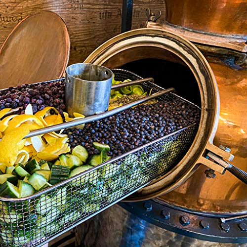 V-SINNE Gin | Schwarzwald Dry Gin – frisch, leicht waldig & floral, ausgewogen, Zitrone | mehrfach Gold Prämiert | Damit… – Bild 5