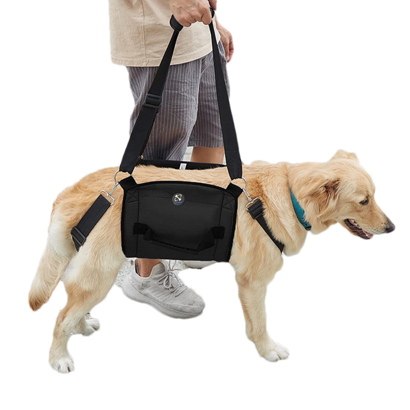 Porte-Chien,Aide d'escalier pour Chien - Aide à l'escalier Respirante, Aide à la Marche réglable et Robuste pour Chiens handicapés, âgés et paralysés
