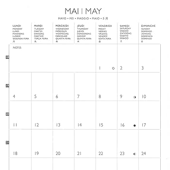 ドレジャー CATS 2024年 スモールカレンダー 壁掛け モノクロ 2024（2025）年 カレンダー【モノクロ タイポグラフィ・A4タテ