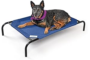 COOLAROO Elevated Dog Bed for Cool and Cozy Pup Relaxation