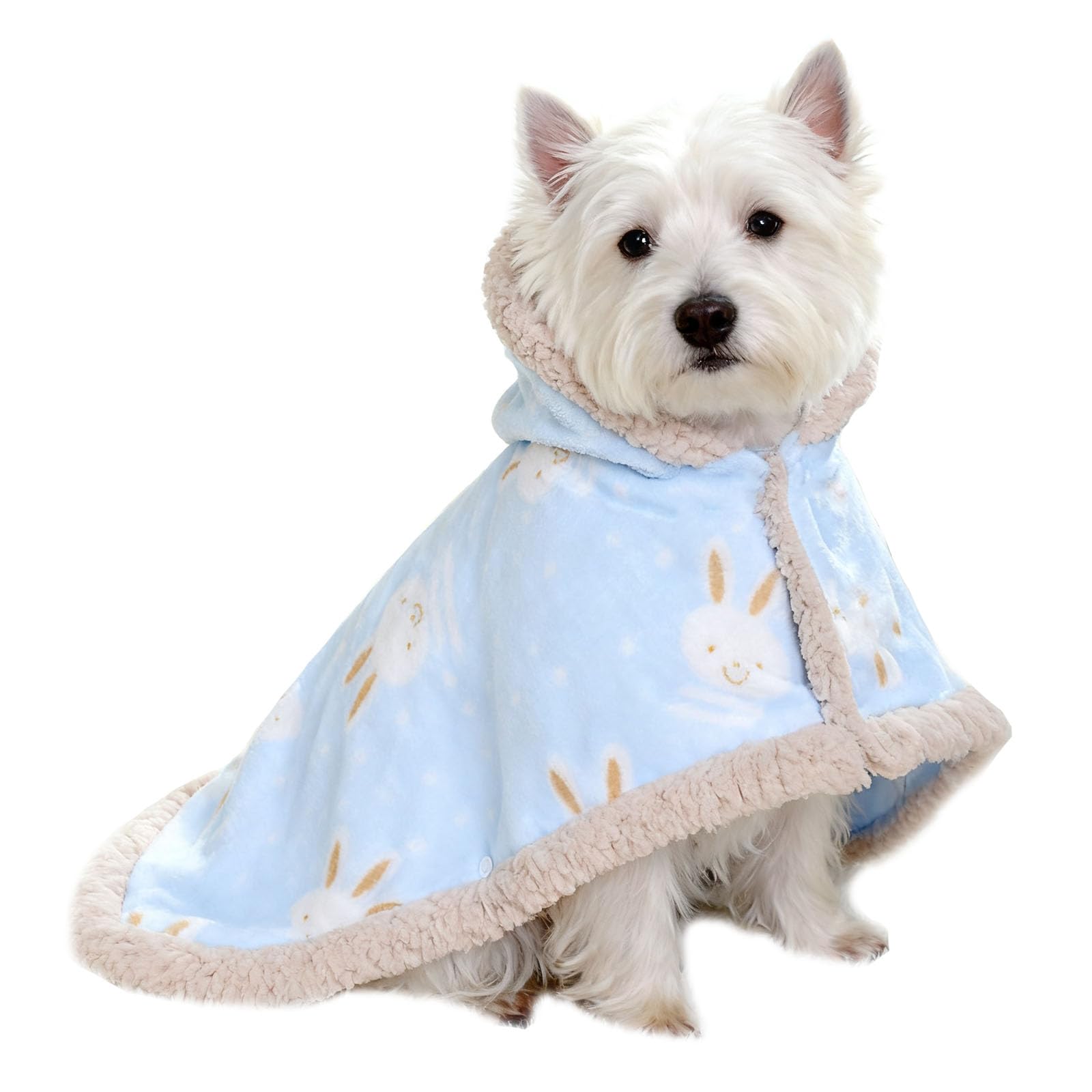 Amazon.com : Size Small to Large, Dog Winter Coat with Hat, Kitten