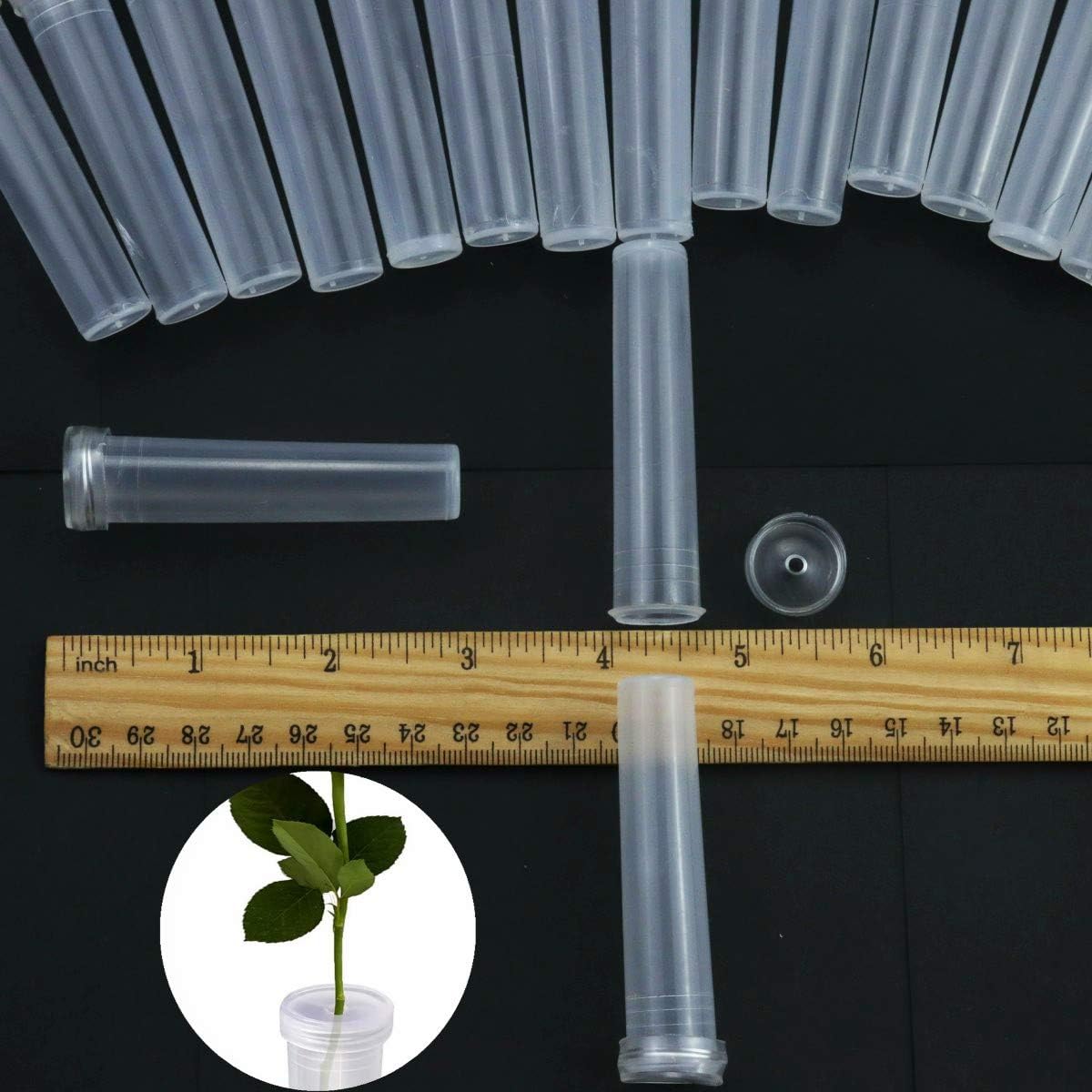 Heatoe 50 Pack Clear Floral Water Tubes Vials Plastic Flower Vials