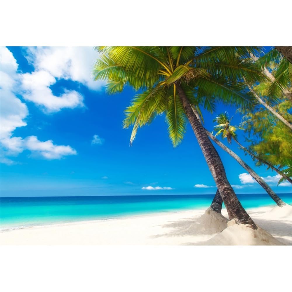 Leowefowa 12x8ft Sand Beach Backdrop Seaside Coconut Tree Blue Sky White Cloud Backdrops for Photography Kids Adults Summer Holiday Vinyl Photo